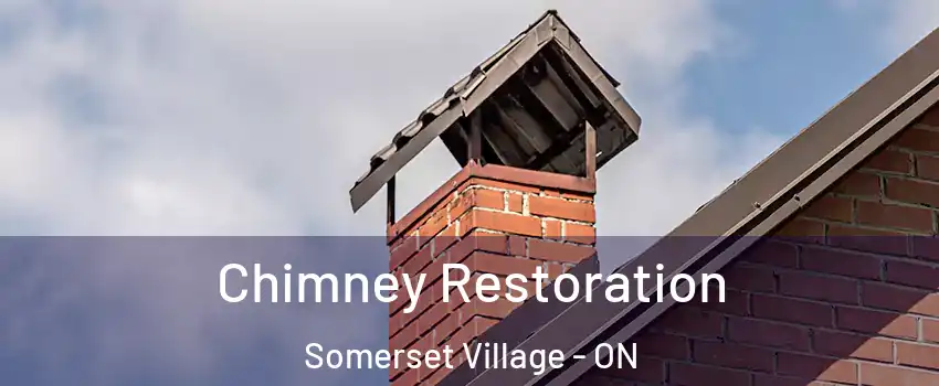  Chimney Restoration Somerset Village - ON