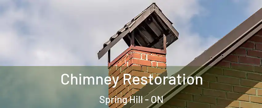  Chimney Restoration Spring Hill - ON