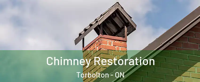  Chimney Restoration Torbolton - ON