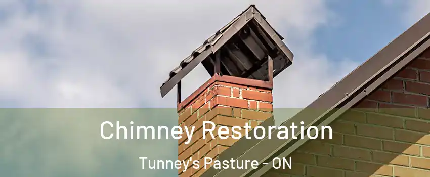  Chimney Restoration Tunney's Pasture - ON