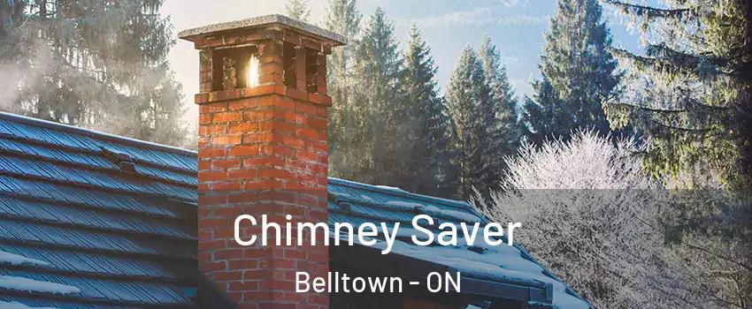  Chimney Saver Belltown - ON