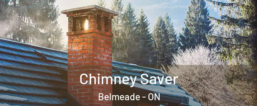  Chimney Saver Belmeade - ON