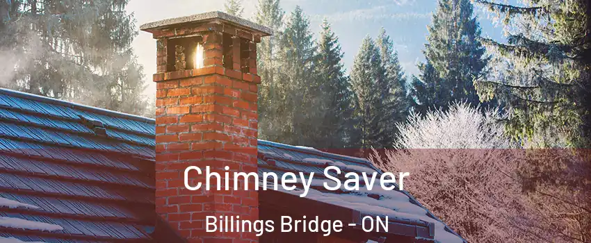  Chimney Saver Billings Bridge - ON