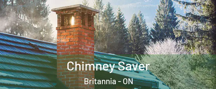  Chimney Saver Britannia - ON