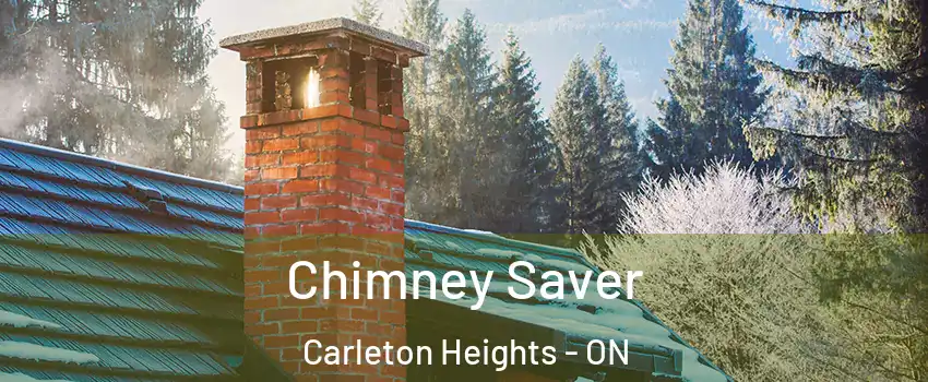  Chimney Saver Carleton Heights - ON