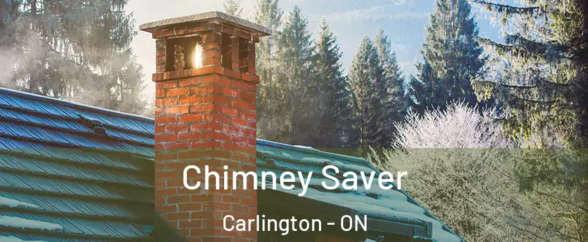  Chimney Saver Carlington - ON