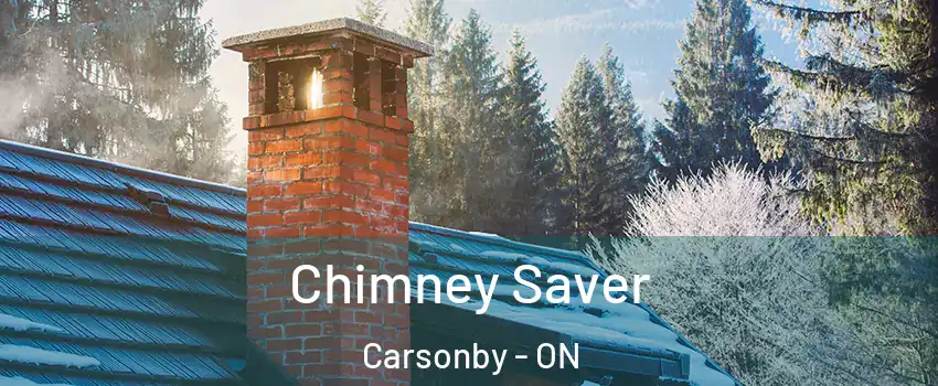  Chimney Saver Carsonby - ON