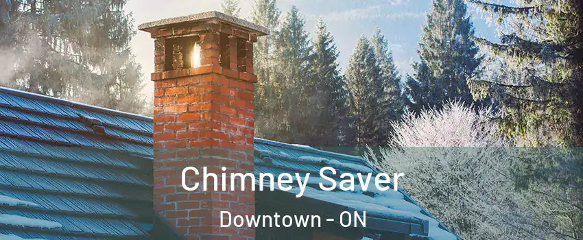  Chimney Saver Downtown - ON