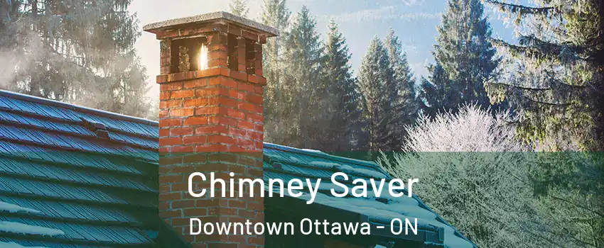  Chimney Saver Downtown Ottawa - ON