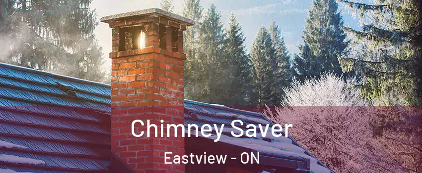  Chimney Saver Eastview - ON