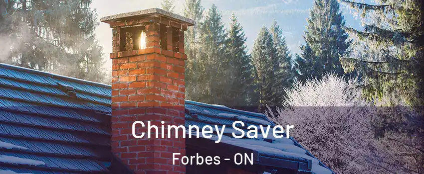  Chimney Saver Forbes - ON