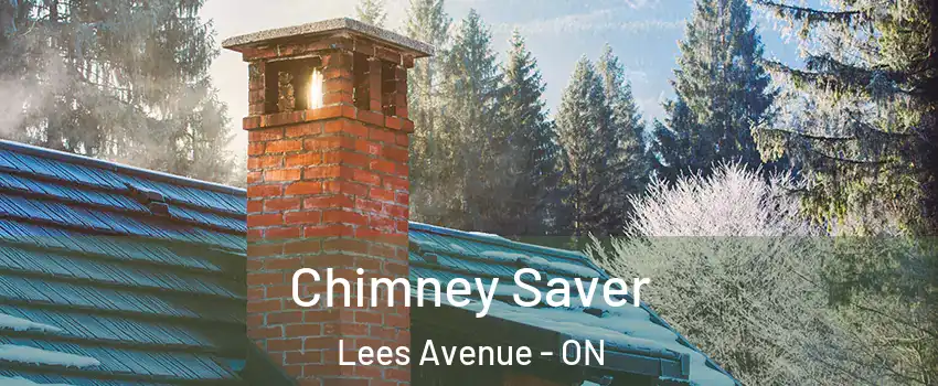  Chimney Saver Lees Avenue - ON