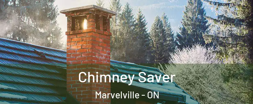  Chimney Saver Marvelville - ON