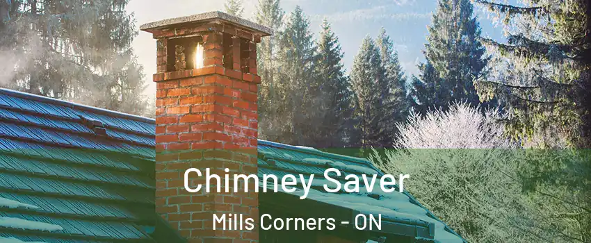  Chimney Saver Mills Corners - ON