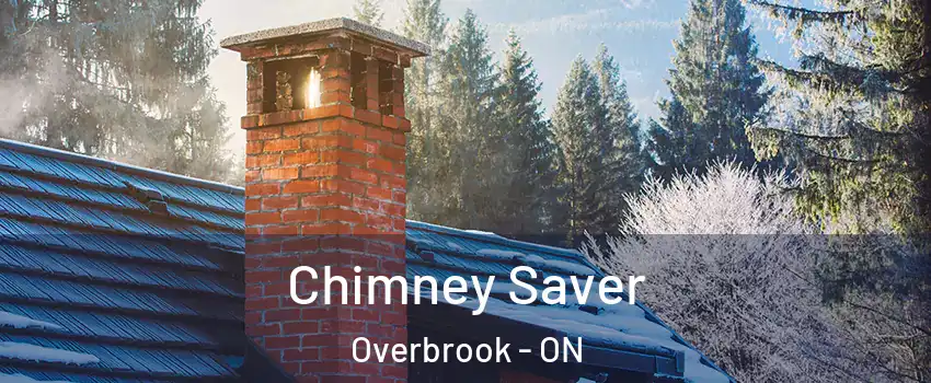  Chimney Saver Overbrook - ON