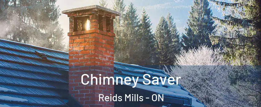  Chimney Saver Reids Mills - ON