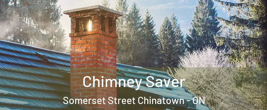  Chimney Saver Somerset Street Chinatown - ON