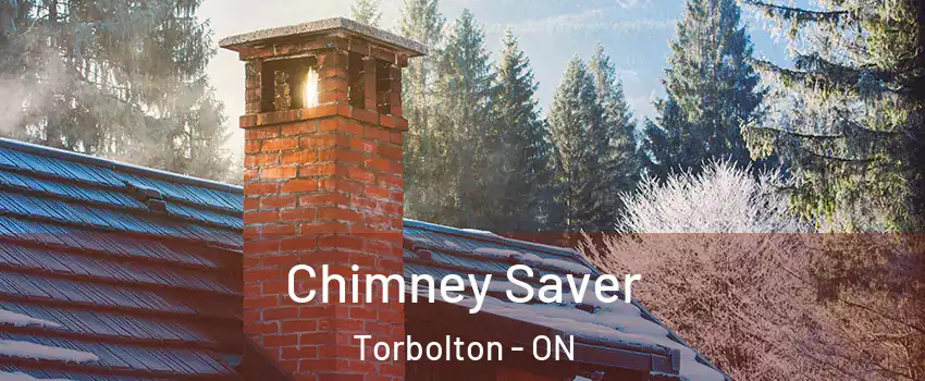  Chimney Saver Torbolton - ON