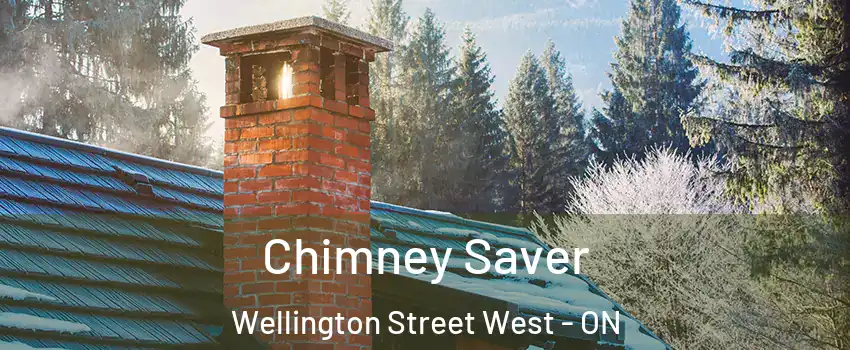  Chimney Saver Wellington Street West - ON