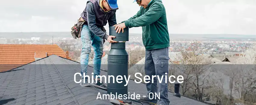  Chimney Service Ambleside - ON