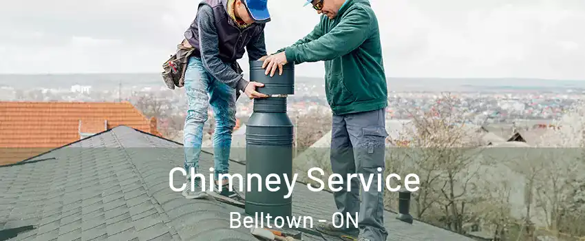  Chimney Service Belltown - ON