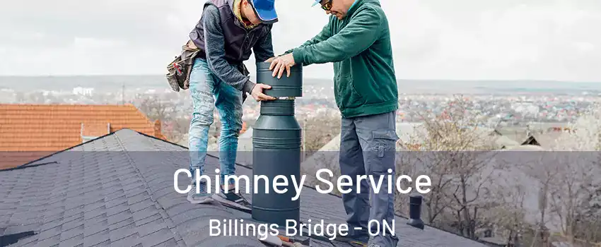  Chimney Service Billings Bridge - ON