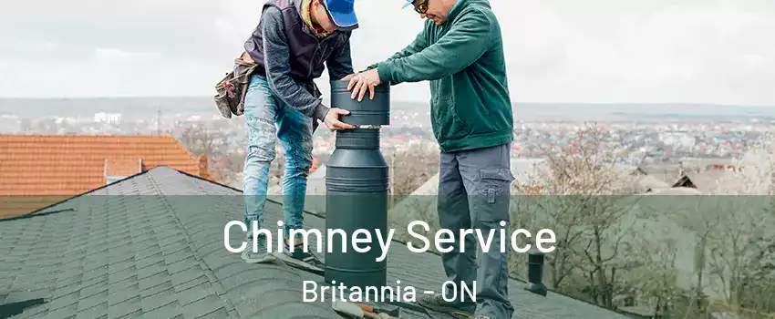  Chimney Service Britannia - ON