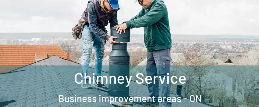  Chimney Service Business improvement areas - ON