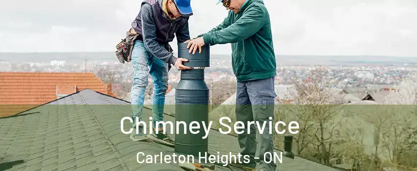  Chimney Service Carleton Heights - ON