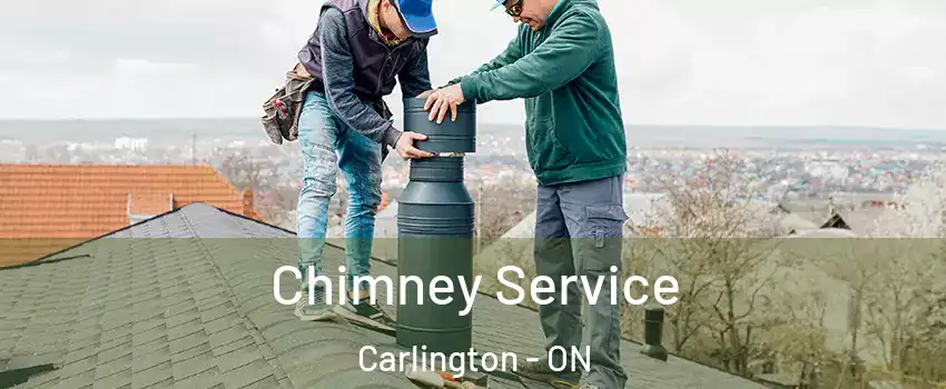  Chimney Service Carlington - ON