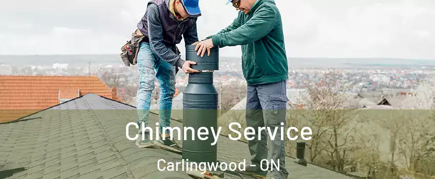  Chimney Service Carlingwood - ON