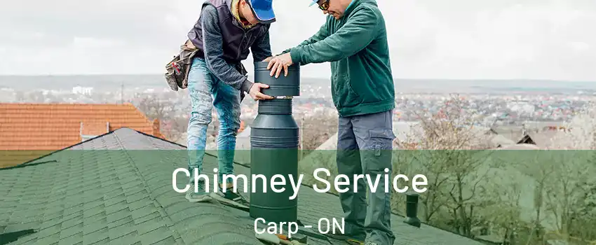  Chimney Service Carp - ON