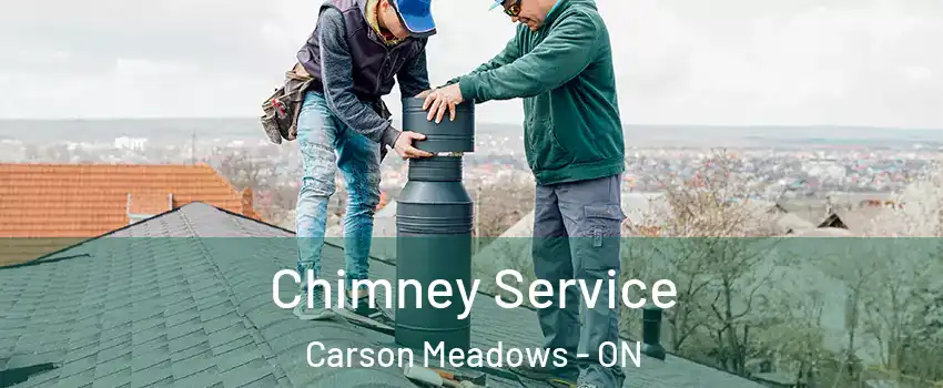  Chimney Service Carson Meadows - ON