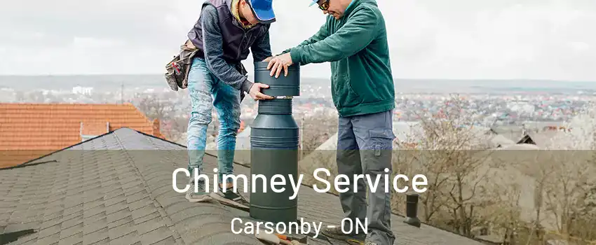  Chimney Service Carsonby - ON