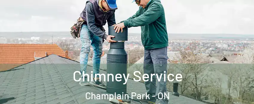  Chimney Service Champlain Park - ON