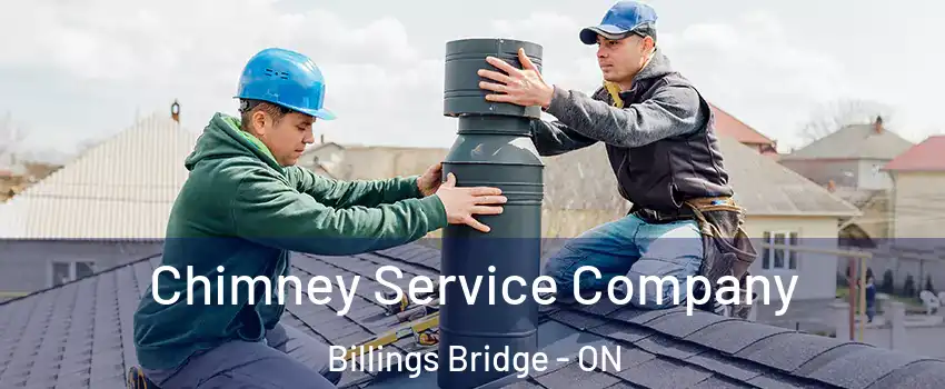  Chimney Service Company Billings Bridge - ON