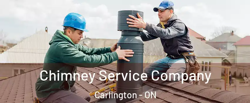  Chimney Service Company Carlington - ON