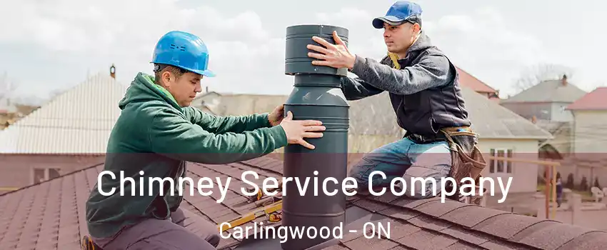  Chimney Service Company Carlingwood - ON