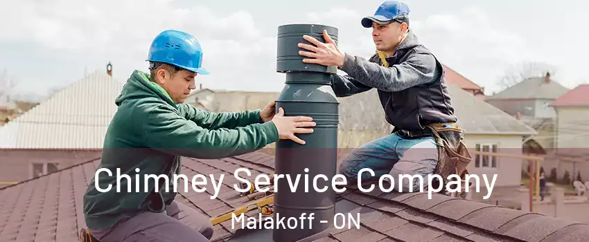  Chimney Service Company Malakoff - ON