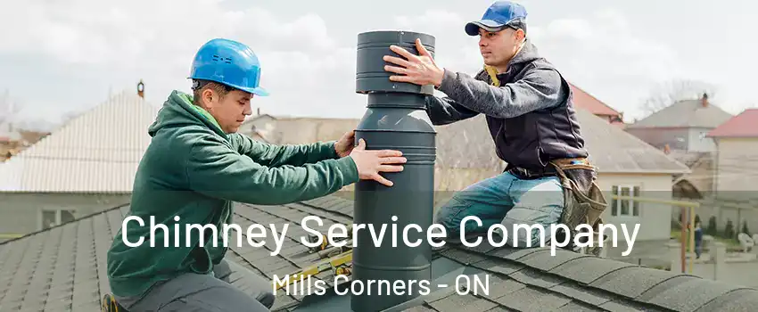  Chimney Service Company Mills Corners - ON