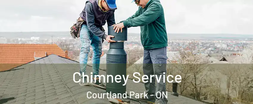  Chimney Service Courtland Park - ON