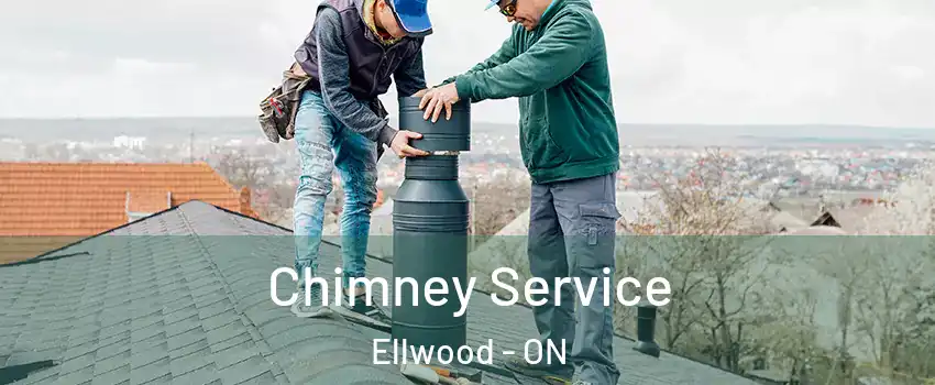  Chimney Service Ellwood - ON