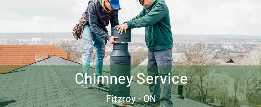  Chimney Service Fitzroy - ON