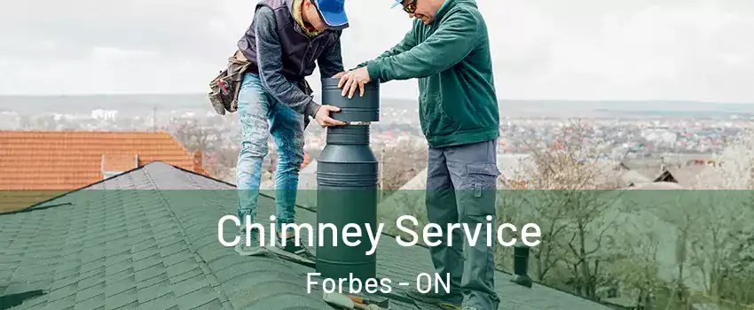  Chimney Service Forbes - ON