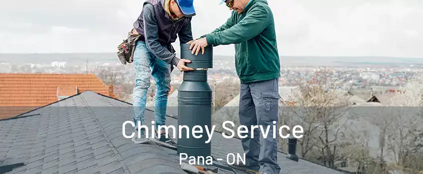  Chimney Service Pana - ON