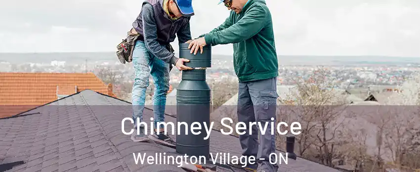  Chimney Service Wellington Village - ON