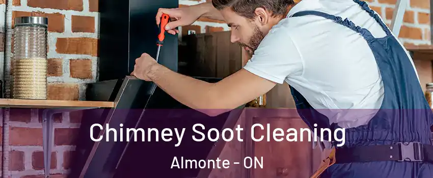  Chimney Soot Cleaning Almonte - ON