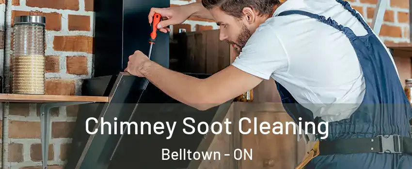  Chimney Soot Cleaning Belltown - ON