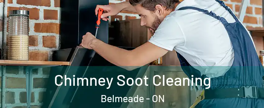  Chimney Soot Cleaning Belmeade - ON