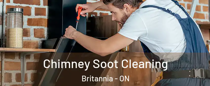  Chimney Soot Cleaning Britannia - ON